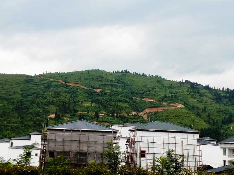 6米樹脂瓦價(jià)格表